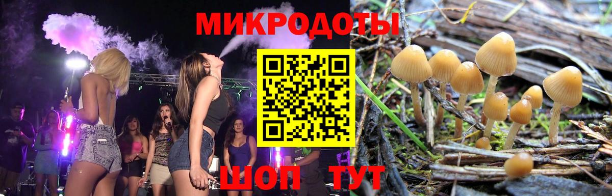 Галлюциногенные грибы Cubensis Карачаевск